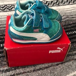 Baby Pumas
